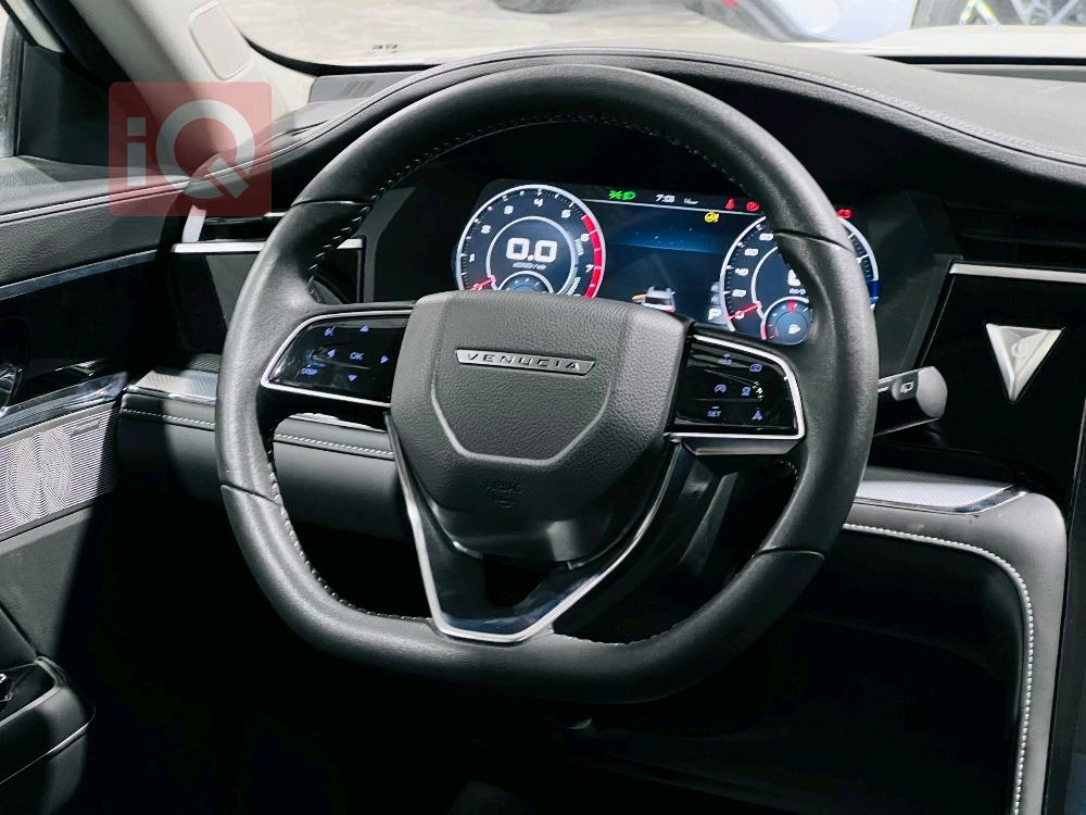 دونج فينج فينوسيا